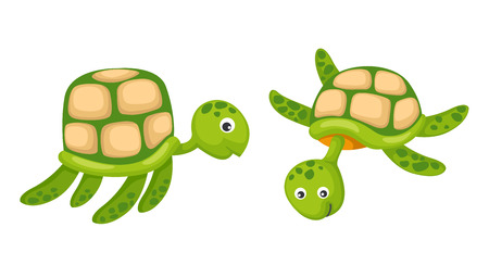 Illustrator of isolated two turtle vectorのイラスト素材