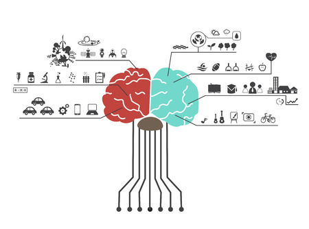 illustration of left and right brain functions iconのイラスト素材