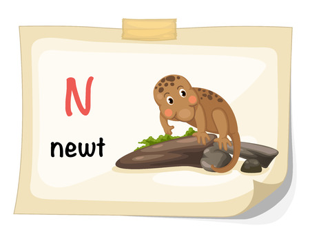 Illustration of animal alphabet letter N for newt illustration vectorのイラスト素材