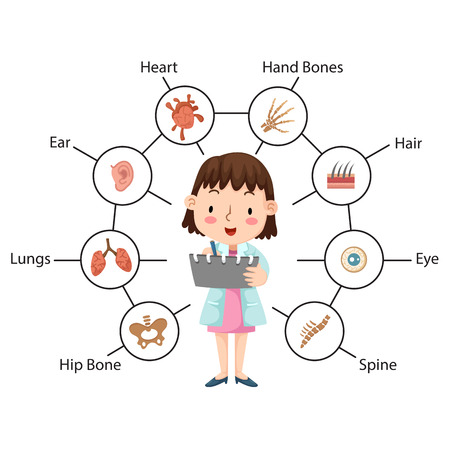 The idea of the doctor performing physical examination illustration, vector with vocabularyのイラスト素材