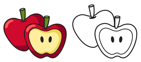 Illustration of isolated colorful and black and white apple for coloring book vectorのイラスト素材