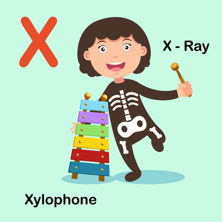 Illustration Isolated Alphabet Letter X-X ray,Xylophone.vectorのイラスト素材