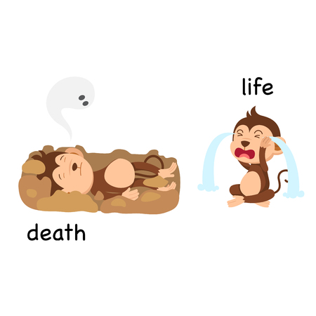 Opposite words death and life vector illustrationのイラスト素材