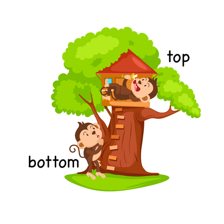 Opposite words bottom and top vector illustrationのイラスト素材