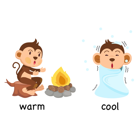 Opposite words warm and cool vector illustrationのイラスト素材