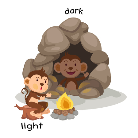 Opposite light and dark vector illustrationのイラスト素材