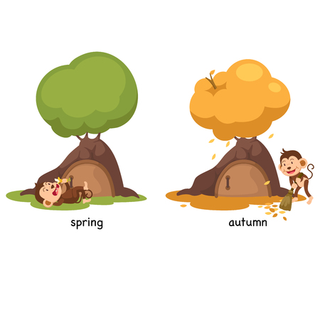 Opposite spring and autumn vector illustrationのイラスト素材