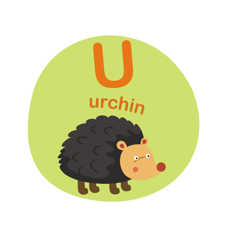 Illustration isolated alphabet letter u-urchin vector illustrationのイラスト素材