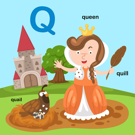 Illustration Isolated Alphabet Letter Q-quail,queen,quill.vectorのイラスト素材