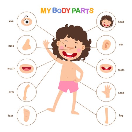 illustration of vocabulary part of body vectorのイラスト素材