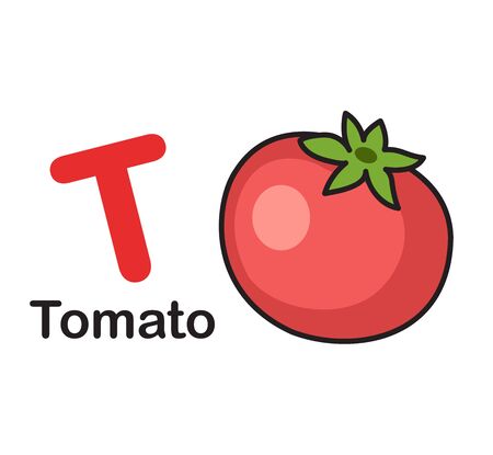 Alphabet Letter T-Tomato vector illustrationのイラスト素材