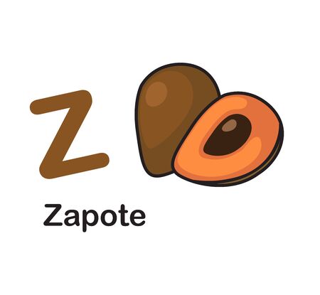 Alphabet Letter Z-Zapote vector illustrationのイラスト素材