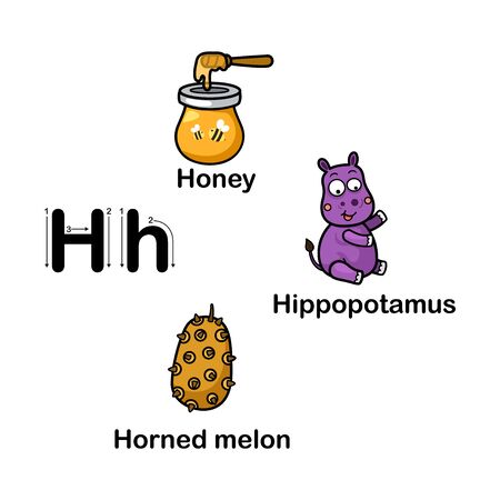 Alphabet Letter H-honey,horned melon, hippopotamus vector illustrationのイラスト素材