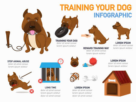 Training your dog infographic,vector illustration.のイラスト素材
