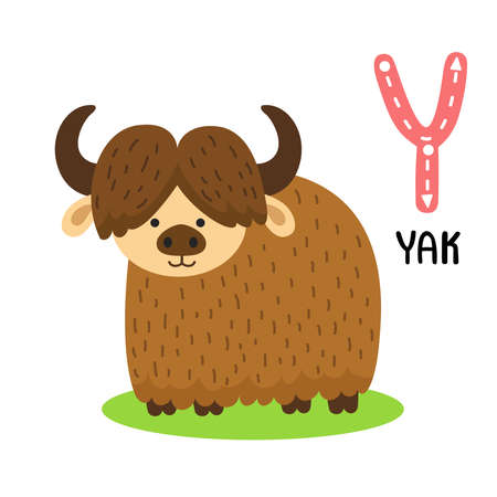 Illustration Isolated Animal Alphabet Letter Y-Yakのイラスト素材