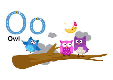 Alphabet Letter O-Owl with cartoon vocabulary illustration, vectorのイラスト素材