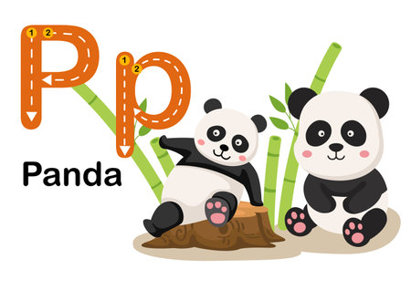 Alphabet Letter P-Panda with cartoon vocabulary illustration, vectorのイラスト素材