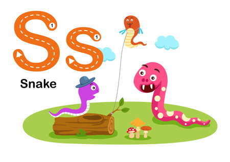 Alphabet Letter S-Snake with cartoon vocabulary illustration, vectorのイラスト素材