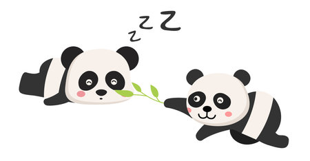 cute cartoon panda character on white background illustrationのイラスト素材