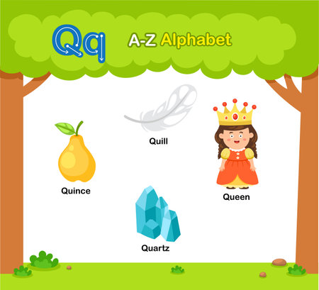 Alphabet Letter Q education vocabulary illustration vectorのイラスト素材