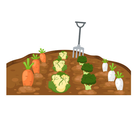 vegetables in garden on white backgroundのイラスト素材