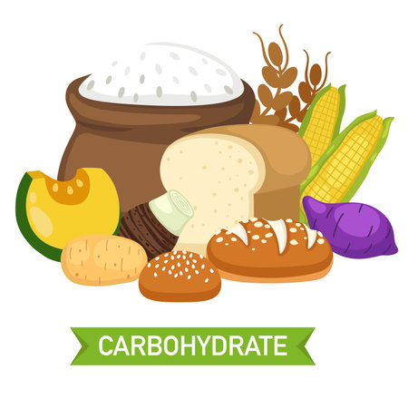 carbohydrate food group vector illustrationのイラスト素材