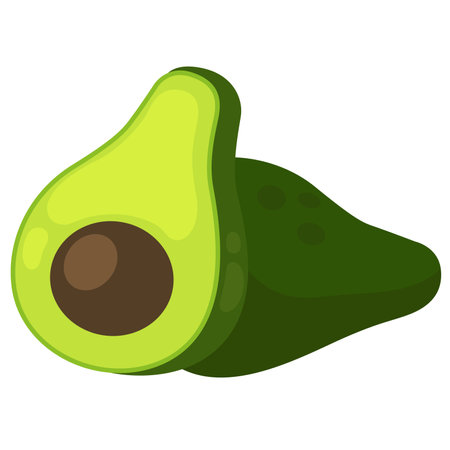 illustration of avocado on a white backgroundのイラスト素材