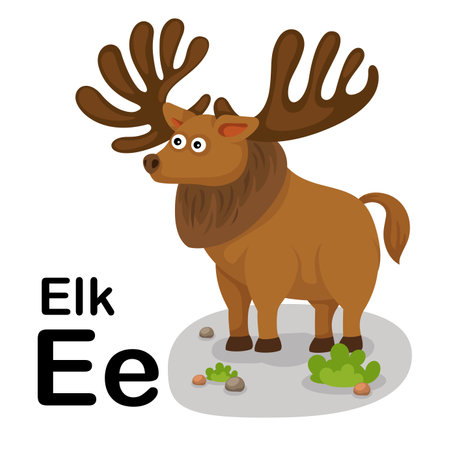 Alphabet Letter E-Elk with cartoon vocabulary illustration, vectorのイラスト素材