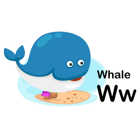Alphabet Letter W-Whale with cartoon vocabulary illustration, vectorのイラスト素材