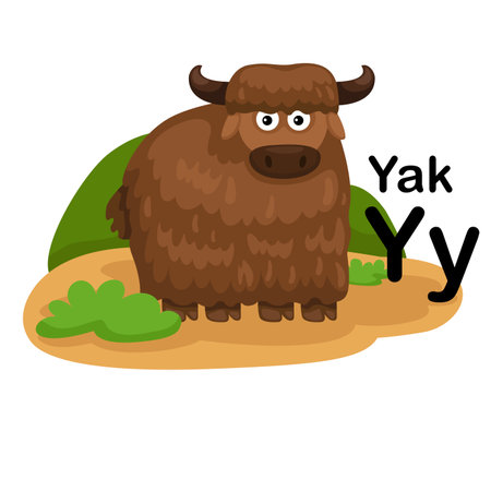 Alphabet Letter Y-Yak with cartoon vocabulary illustration, vectorのイラスト素材