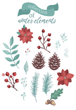 collection of christmas watercolor flowers and branchesのイラスト素材