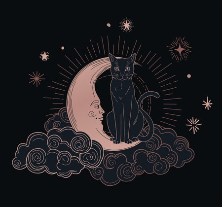 Black cat sitting on the moon and stars. Hand drawn vector illustration.のイラスト素材