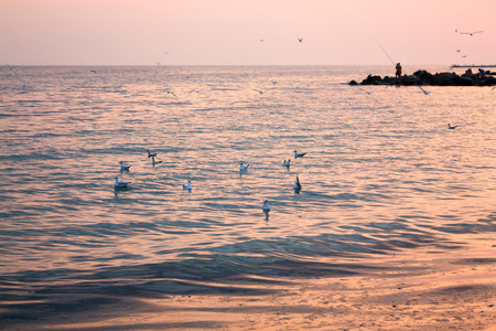 Many gulls float on water, two fishermen in the backgroundの写真素材
