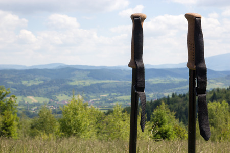 Walking sticks against a mountain landscape