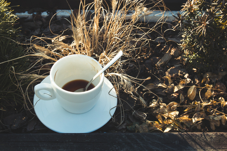 White Cup with coffee standing among the flower garden and plants, the concept of cultural and pleasant outdoor recreationの写真素材