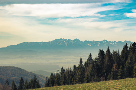 A very beautiful landscape with a valley and a forest, in the distance is seen a high mountain chain covered with snow at sunsetの写真素材