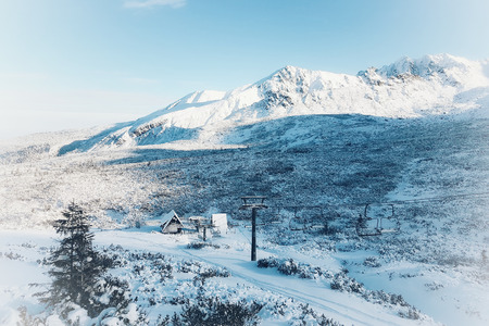 Fabulous winter landscape, mountains and Christmas trees covered with snow, magical festive atmosphere, tonedの写真素材