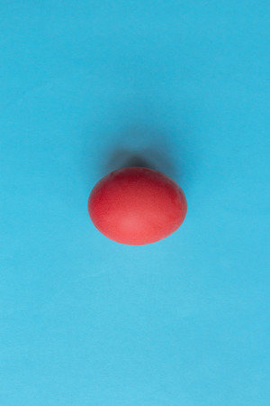 Trend colored pink chicken egg on a blue pastel minimalistic backgroundの写真素材