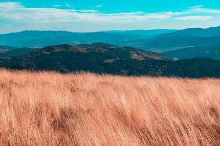 Autumn mountain landscape, high red dry grass on the background of mountains and blue turquoise skyの写真素材