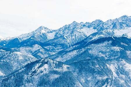 Fantastic turquoise mountain landscape, blue mountains covered with snow and fir trees, creative...