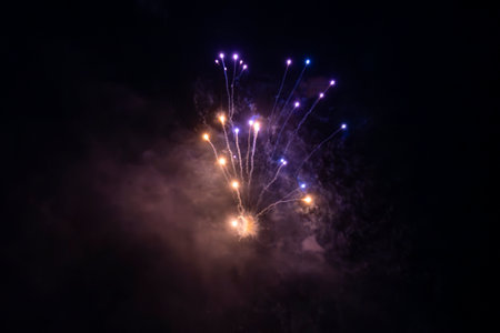 Colorful fireworks display at night for celebrate new year or Christmas.
