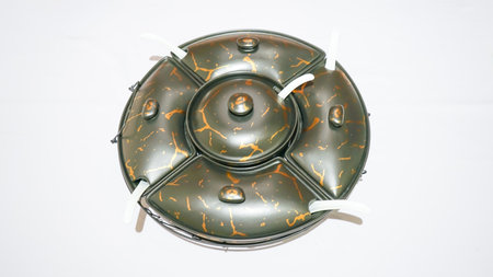 This set includes round ceramic bowls in a sleek black color adorned with elegant golden motifs, perfect for serving and displaying your favorite vegetables.の写真素材