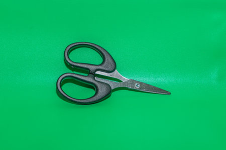 The Black Handle Scissors are a stylish and versatile tool for all your cutting needs.の写真素材