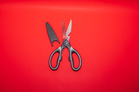 Fabric Scissors are a must-have tool for anyone working with fabrics.