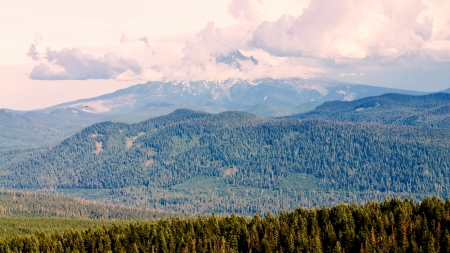 Mount Hood as seen from Multnomah County, Oregonの写真素材