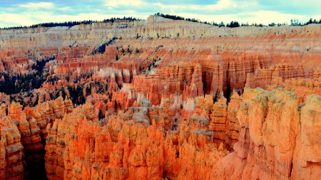 Bryce Canyon - UTの写真素材
