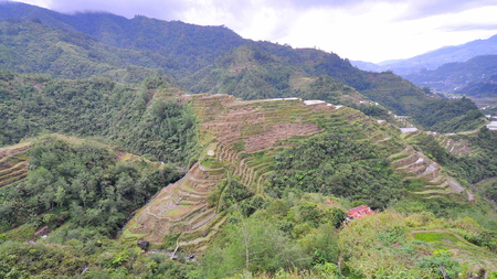 Rice Terraces - Banaue View Point, Ifugao, Philippinesの写真素材