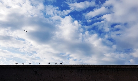 View of cloud and blue skyの写真素材