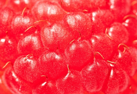 raspberry backgroundの写真素材