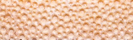 Bread backgroundの写真素材